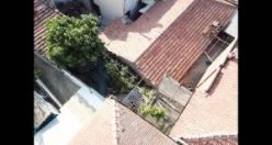 Evin bahçesinde 166 kök kenevir bitkisi  ve 18 gram kenevir tohumu bulunarak el konuldu