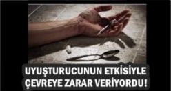 Uyuşturucunun etkisiyle çevreye zarar veriyordu!