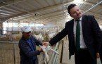 Demirci Kaymakamı Mutlu Akyol Saanen Keçi Çiftliğini gezdi