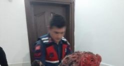 Kumar Oynamak ve Oynanmasına Yer ve İmkan Sağlamak, Horoz Dövüşü Yaptırmak, Kasten Öldürme Suçundan Yakalamalı Şahıs, Uyuşturucu ve Uyarıcı Madde Kullanma ve ya Bulundurma