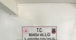 Kaçak ekilmiş kenevir! 210 köke el konuldu