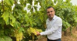 CHP’li Başevirgen, “Kuru Üzüm Taban Fiyatı 65 Liranın Altında Olmamalı”