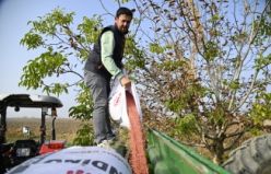Büyükşehir’in Tohumları Toprakla Buluştu