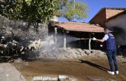  Büyükşehir Ekipleri Mavi Dil Hastalığıyla Mücadele Kapsamında 111 Mahalleyi İlaçladı