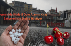 Demirci’de Şiddetli Dolu Alarmı: Kiraz Bahçeleri İçin Endişe Büyüyor