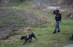 İz Takip ve Kadavra Köpekleri Devrede! Demirci'de Ekipler Şerife Çınar'ı Bulmak İçin Seferber Oldu