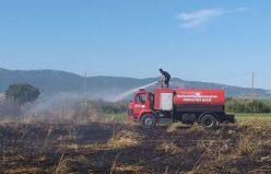 19 Dönüm Ekili Arazi Yanarak Kül Oldu