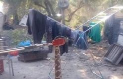 Yılan Yakalama Operasyonu
