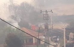 Orman yangını evleri de yaktı, mahallelerde halk ve hayvanlar tahliye ediliyor