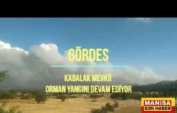 Son Dakika! Gördes ve Kayacık arasındaki bölgede Orman yangını çıktı