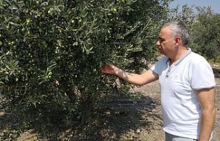 Organik Tarım ve İyi Tarım Desteği Kalkıyor Mu?