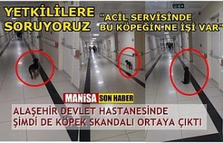 Alaşehir Devlet Hastanesinde şimdi de "Köpek...