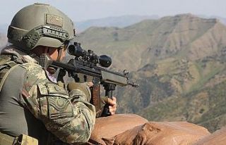Hakkari'de operasyon! 3 askerimiz şehit oldu