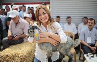 Güzeller podyumu salladı