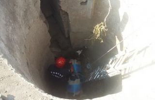 İtfaiyeciler her canlıya yaşama hakkı veriyor