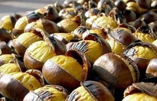 Kestane Her Derde Deva