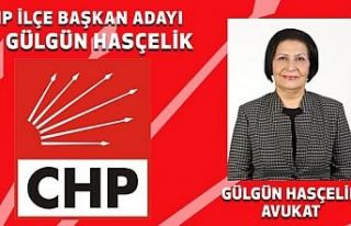 Hasçelik Yönetim Kurulunu Tanıttı