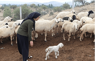 Son Dakika... Bankaya bugün yatıyor ! Çiftçiye...