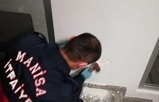 Duvardan Kedi Kurtarıldı