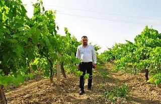 Çiftçilerimizin borçları bir yıl ertelensin
