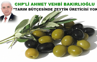 Tarım Bütçesinde Zeytin Üreticisi Yok
