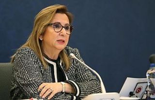 “(Dezenfektan alımı) Kamu İhale Kanunu’na göre...