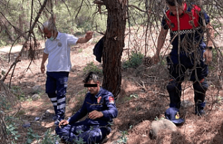İntihar etmek üzere olan şehit yakınını jandarma...