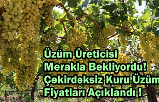Üzüm Üreticisi Merakla Bekliyordu! Çekirdeksiz...