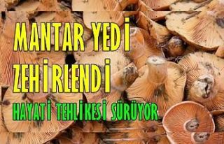 Mantar Yedi Zehirlendi ! Durumu Kritik!