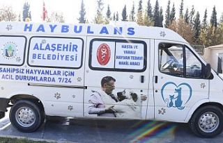 Sokak hayvanları için Haybulans hizmeti vermeye...