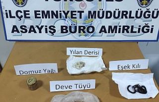 SON DAKİKA! Kedilerin ayak ve başlarını kesen...