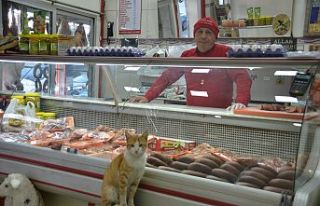 Kasaptan et istemeye gelen kedi gören herkesi kendine...