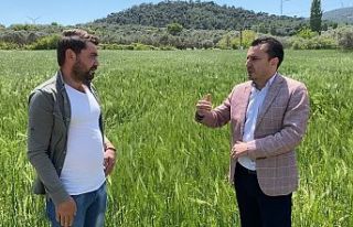 Kırkağaçlı Besici İsyan Etti “Biz Üretmek...