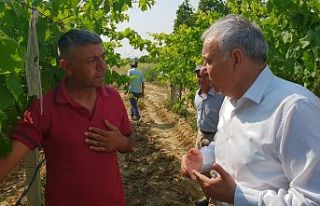 Manisa Milletvekili Bakırlıoğlu Afet Bölgesinde