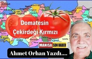 Domatesin Çekirdeği Kırmızı / Ahmet Orhan Yazdı...