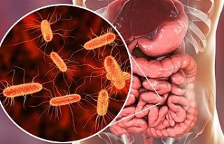 Mikrobiyota Nedir?