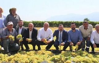 İYİ Parti , çekirdeksiz kuru üzüm fiyatının...