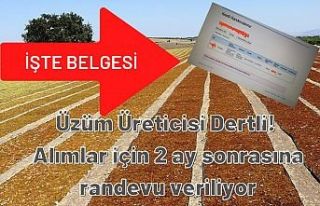 Üzüm Üreticisi Dertli! Alımlar için 2 ay sonrasına...