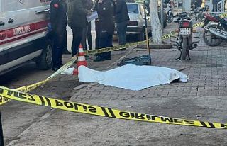 Kardeş kavgası 2 ölü! Ağabeyini Vurup Yaşamına...