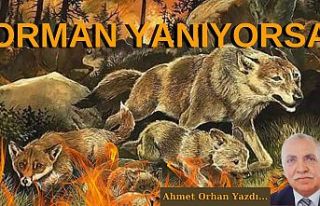 Orman Yanıyorsa / Ahmet Orhan Yazdı...