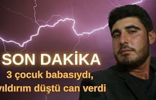 SON DAKİKA! 3 çocuk babasıydı, yıldırım düştü...