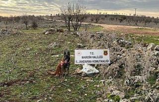 Dargeçit'te 25 kg tuzaklanmış patlayıcı...