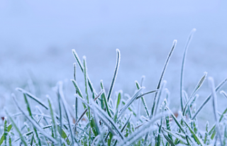 Meteoroloji'den kar, don, kuvvetli yağış uyarısı