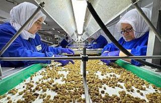 Türkiye organik ürün ihracatında 1 milyar dolar...