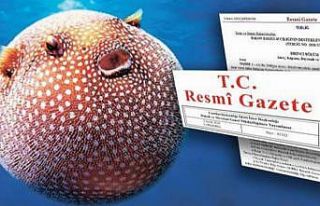 Balon balığı avlayanlara destek!