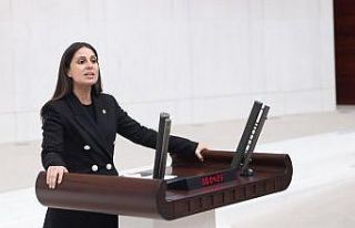 Gizem Özcan’dan Turizm Kanunu tepkisi