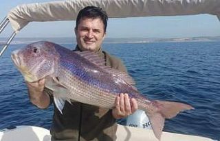 Saros'da yakalanan balık şaşkınlık yarattı