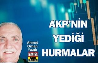 AKP'nin Yediği Hurmalar / Ahmet Orhan Yazdı...
