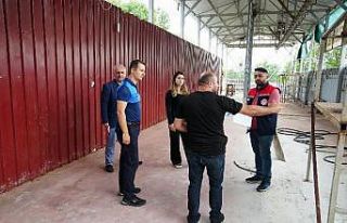 Düzce'de kurban satışı ve kesim yerlerine...