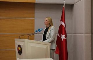 Nilüfer Çevikel: "İki ülke arasında kalıcı...